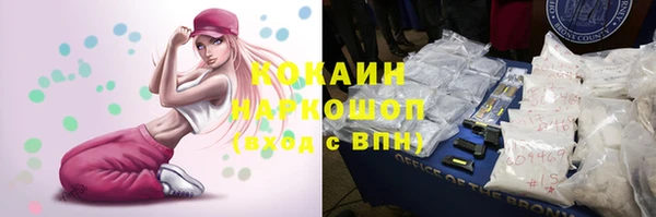 МДПВ Бронницы