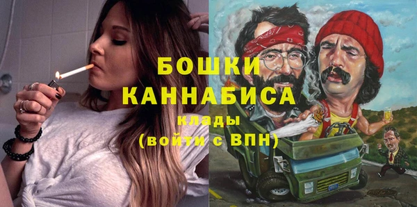 МДПВ Бронницы